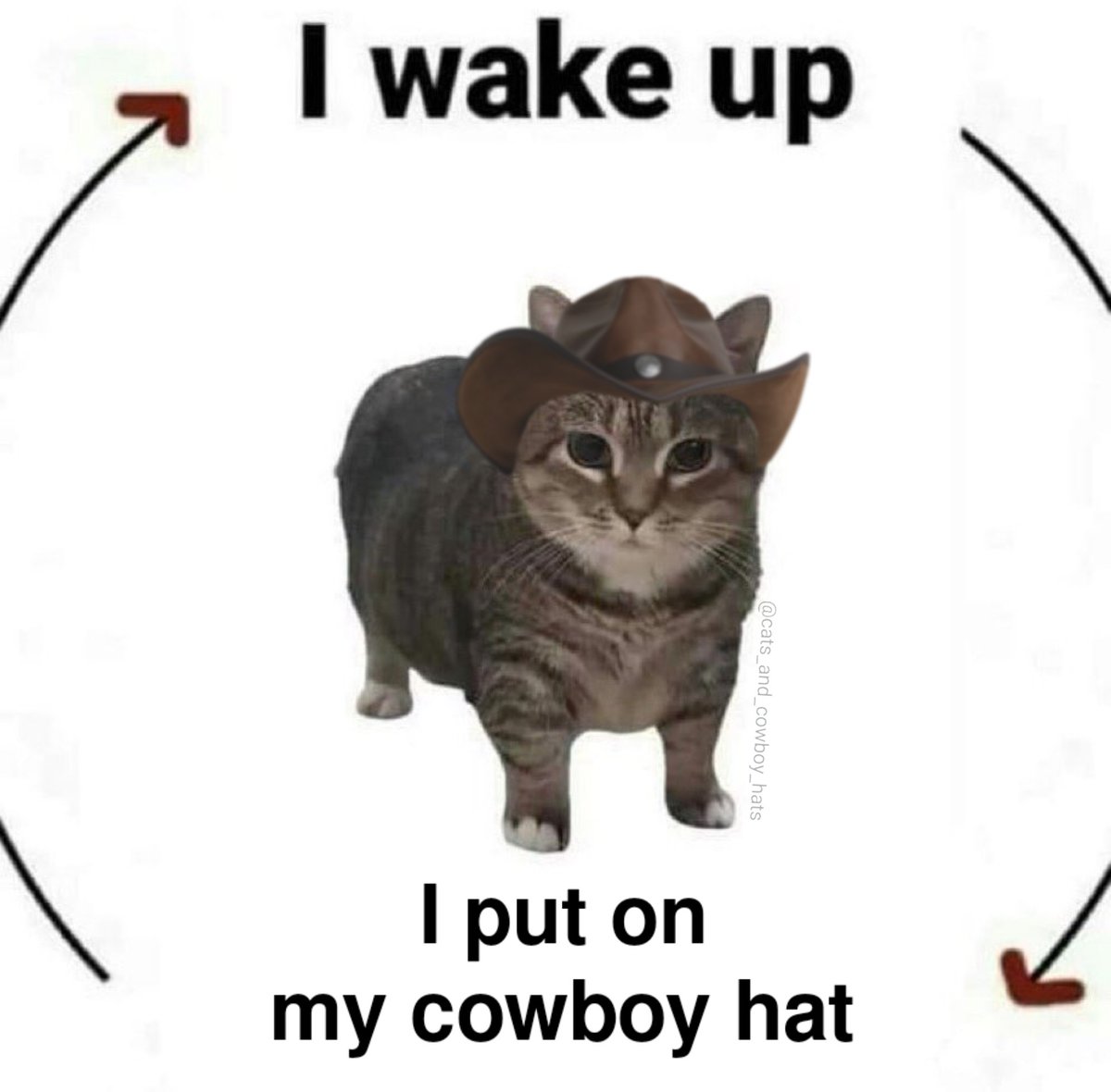 CowboyCats's tweet image. 