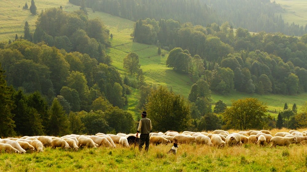 My sheep listen to my voice; I know them, and they follow me. ~John 10:27 #DailyBread🍞