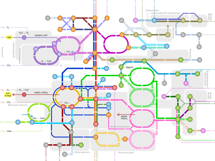 #jaeintro2022 Trabaja conmigo en <a href="/MolMicro_LAB/">Molecular Microbiology</a> <a href="/iplacsic/">IPLA</a> <a href="/FINBAsturias/">FINBA</a> <a href="/CSIC/">CSIC</a> optimizando la biosíntesis de #neuroactivos en bacterias con potencial #psicobiótico
Más info 👇
1⃣ sede.csic.gob.es/intro2022
2⃣ pdf Área VIDA
3⃣ elige JAEINT22_EX_1456