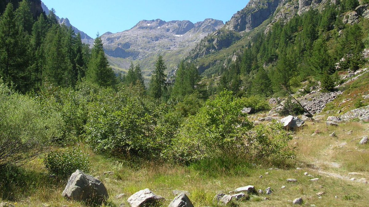 EspaceVert_Lust's tweet photo. ⭐️La réserve #naturelle du massif du Mitteland⭐️ 🤩🤩🤩
#Listenbourg 🇲🇨⚜️💚 https://t.co/uENsqBNKo6