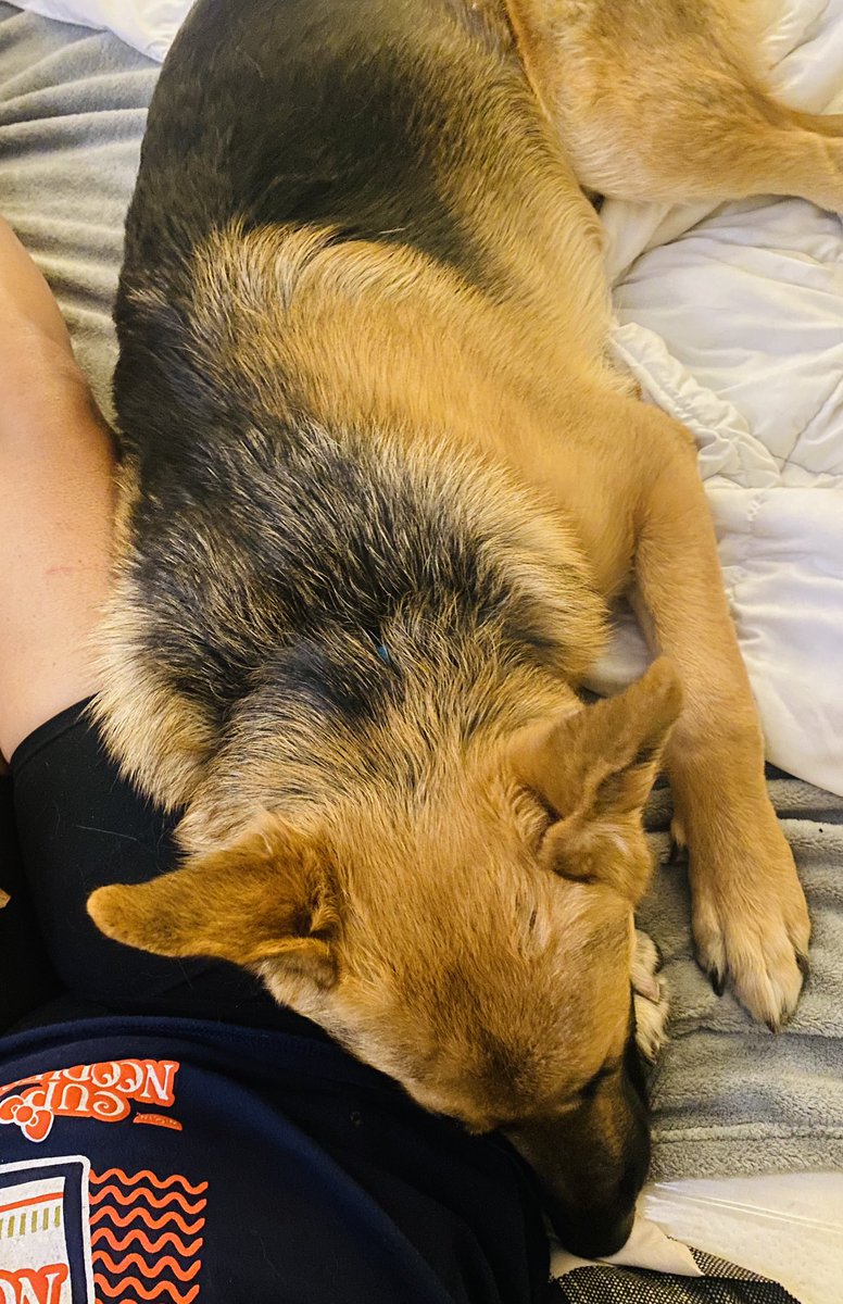 giannamwoods's tweet image. Looking at videos of when my baby was a baby. Now he’s my big baby #9mos 🥺🥰