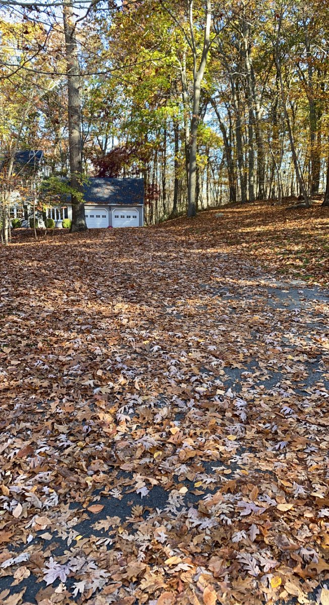 YankeesGhost's tweet photo. Did six cleanups today! Back at it tomorrow! #FallCleanups #landscaping https://t.co/dSwZcMbapn