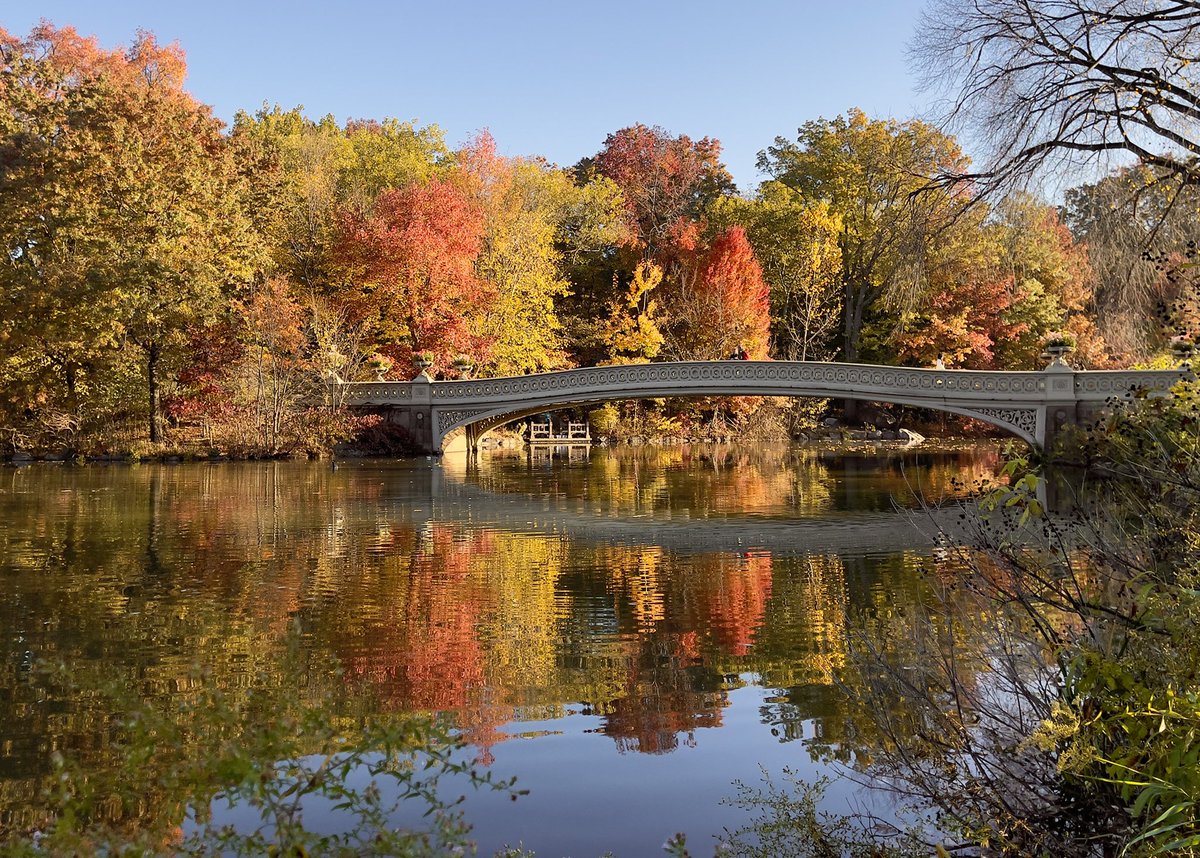 I love my park! 
@CentralParkNYC 
 #CentralParkFoliageWatch