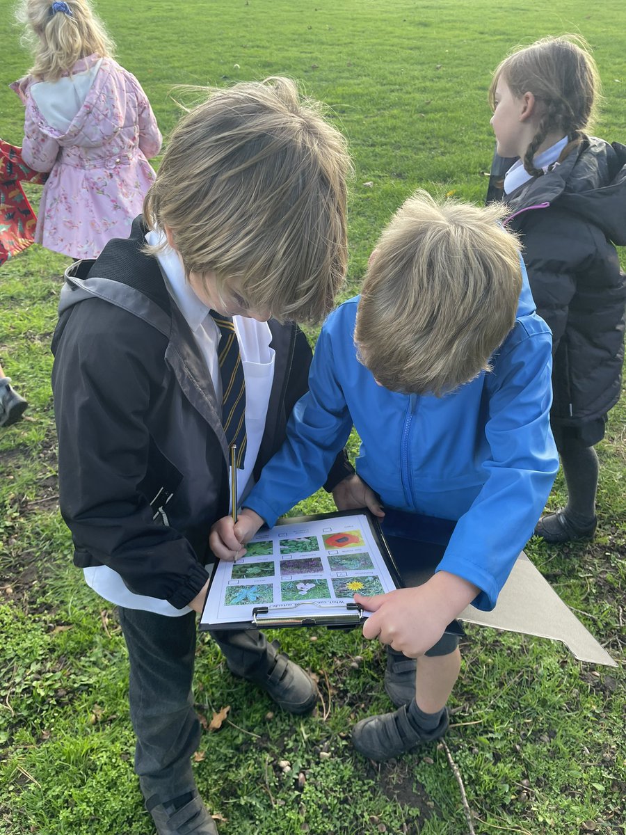 Class2Winthorpe's tweet photo. This afternoon we went on a hunt to see what plants we could find on the school grounds! https://t.co/HQSgA5Kuam