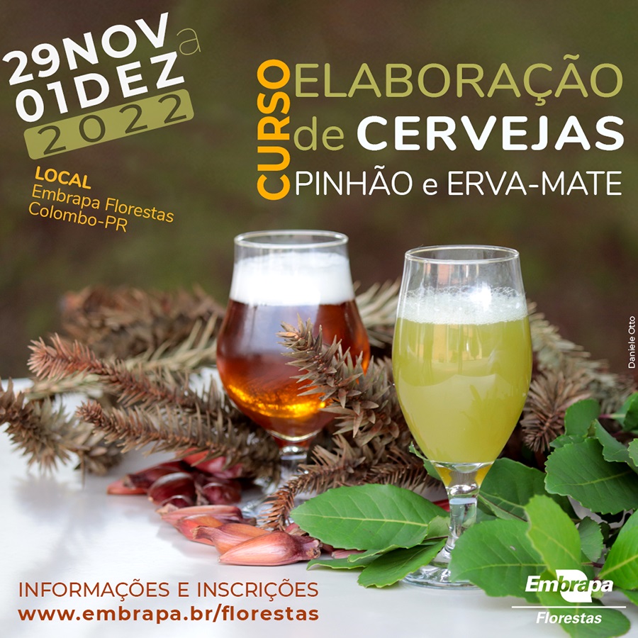 Curso ensina a fazer cerveja de pinhão e erva-mate
Participantes também vão aprender a técnica de “flash fermentação”, em que a cerveja fica pronta em até três dias.
Saiba mais em: embrapa.br/busca-de-notic…