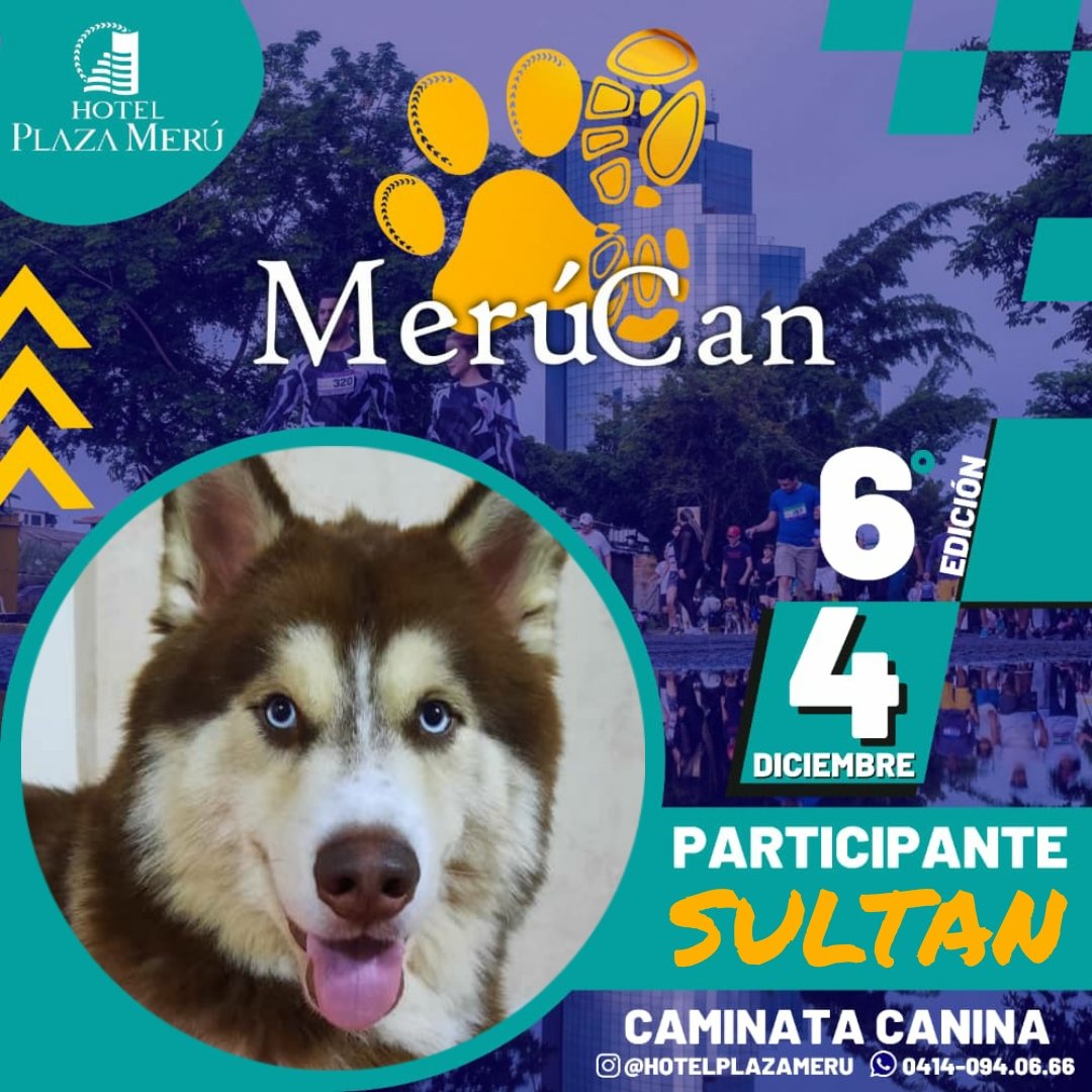 Nuestros caminos se preparan para formar parte de la 6ta edición de la #MeruCan carrera canina que organiza el Hotel Plaza Merú.