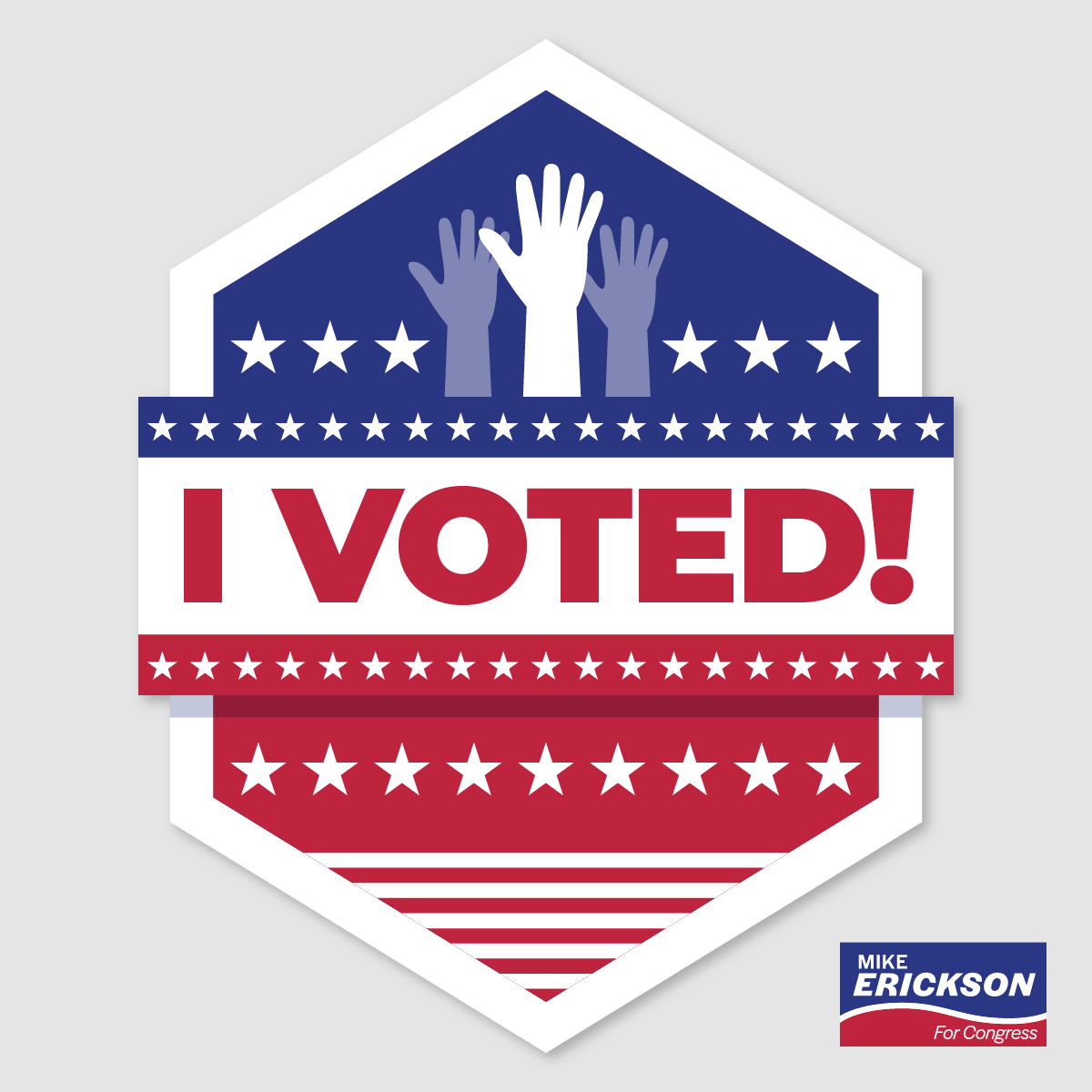 Mike Erickson for Congress tweet media