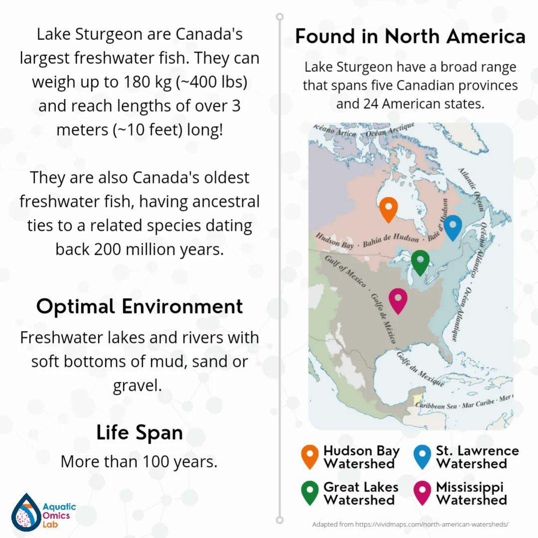 Aquatic Omics Lab tweet media