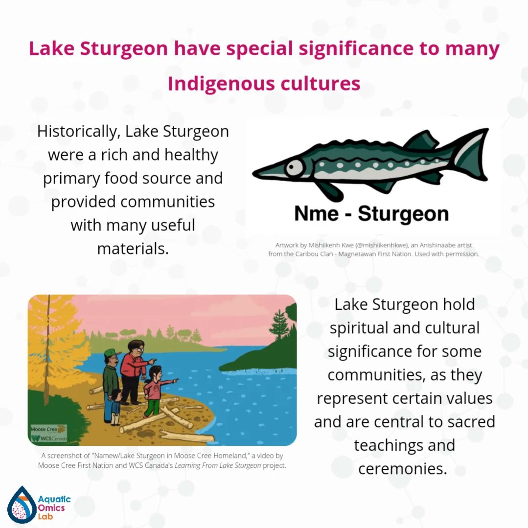 Aquatic Omics Lab tweet media