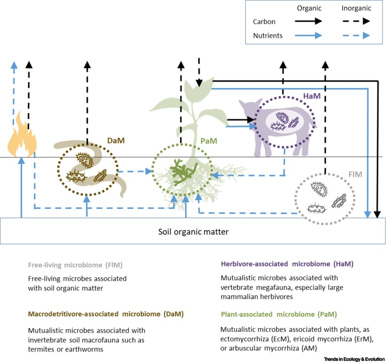 Trends in Ecology & Evolution tweet media