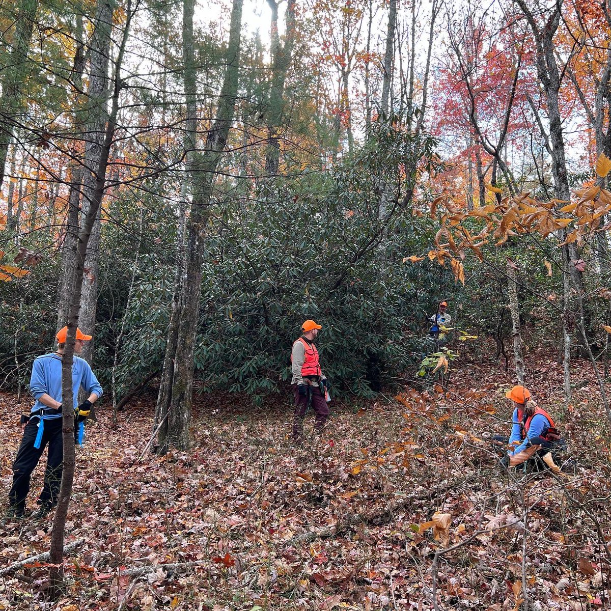 EcoForesters's tweet photo. This week’s #ViewFromTheCrew! One of our Forest Restoration Techs, Sarah Sussman, captured some beautiful shots of late-season fall colors in Dupont. What’s your favorite fall leaf color? 🍁 https://t.co/OatBLyw8ic