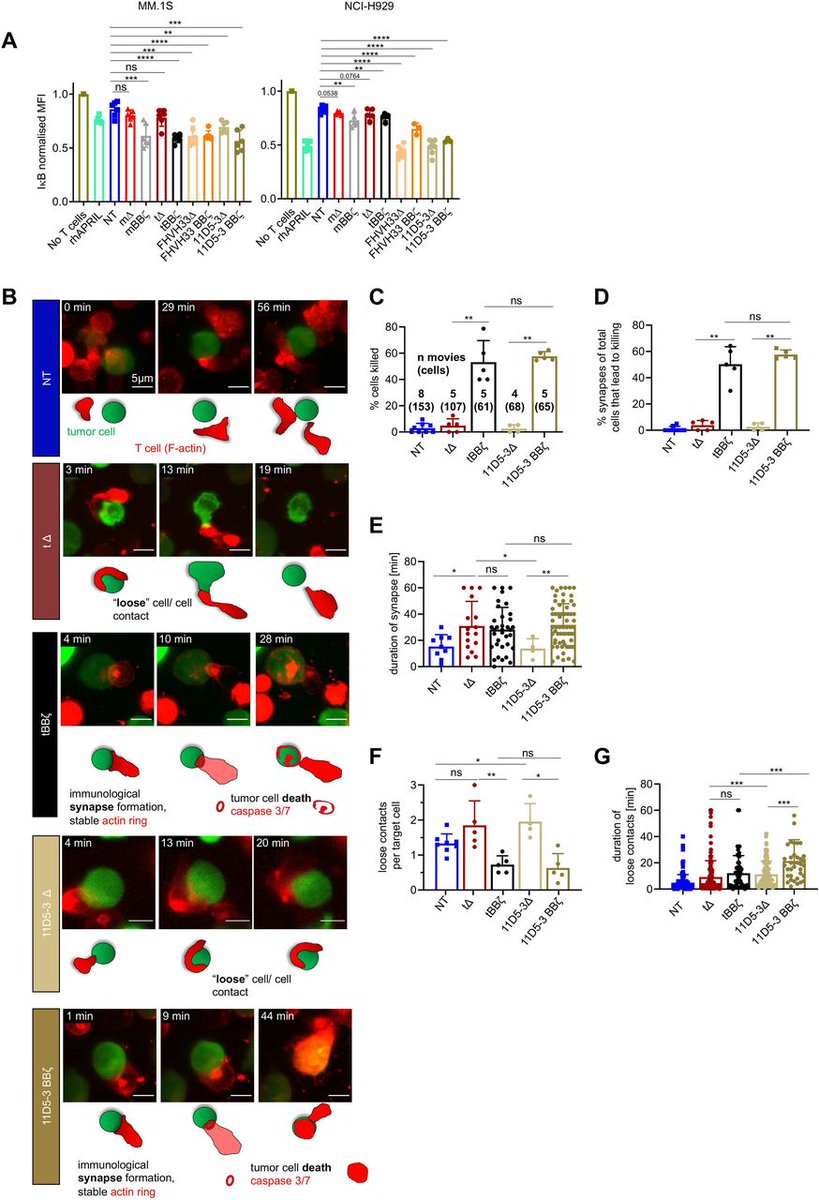 Journal for ImmunoTherapy of Cancer tweet media