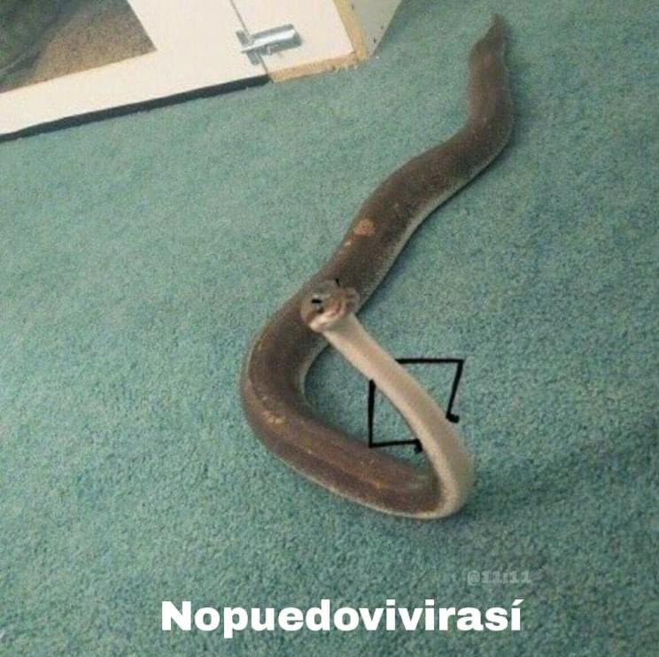 *Te tengo que contar algo, pero después te digo*

- Yo:
