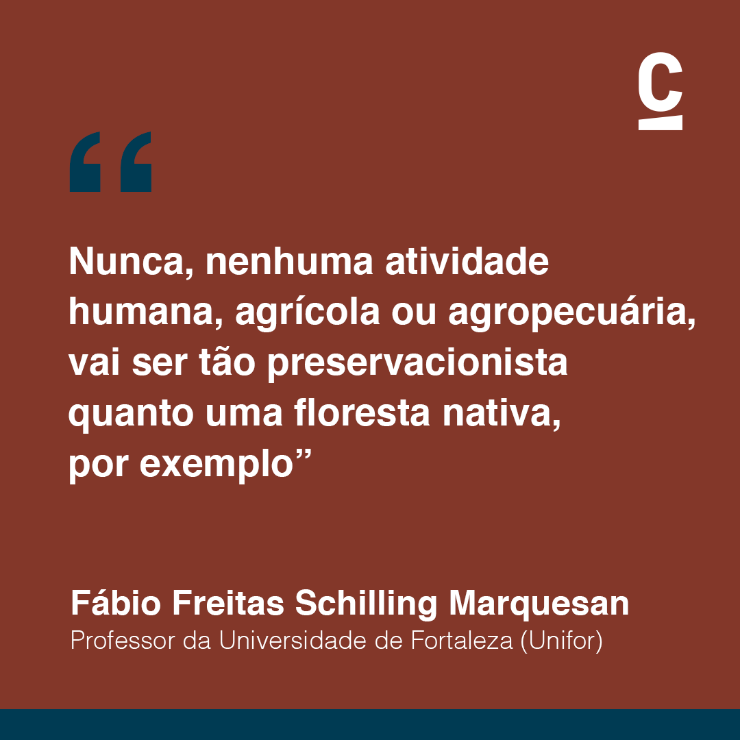RevistaCuringa's tweet photo. O que você sabe sobre desmatamento? Você compreende como é o processo de devastação no Brasil?

A resposta para essas e outras perguntas você encontra em breve na reportagem disponível em nosso site! https://t.co/mEyp3VsdKo