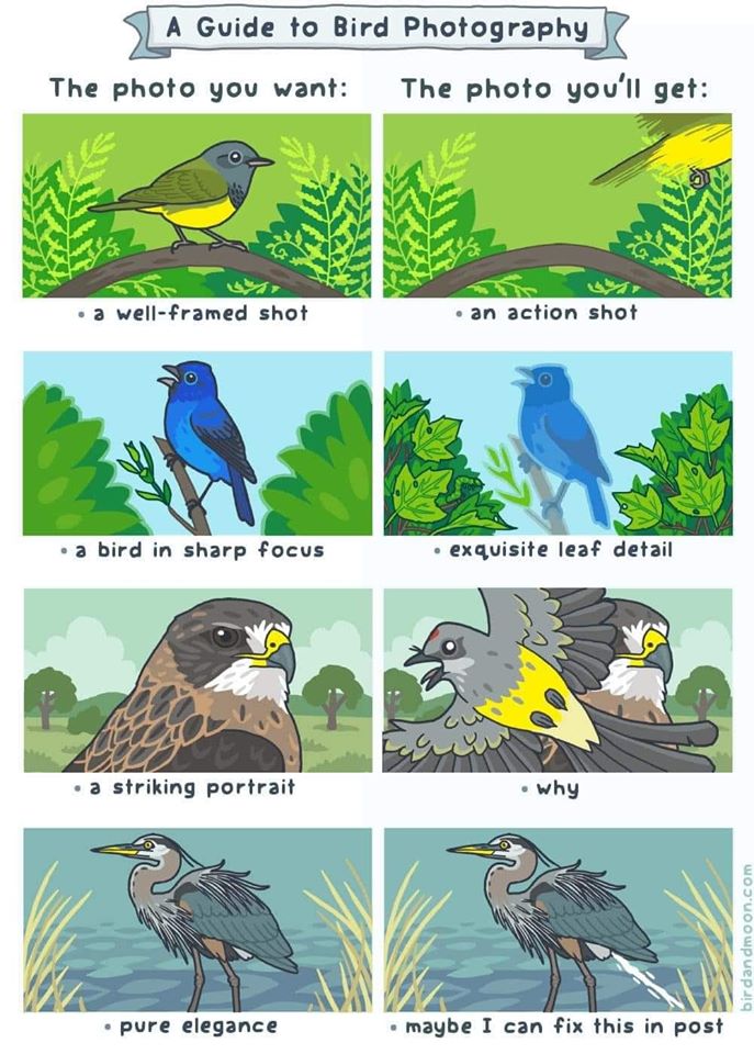 <a href="/RosemaryMosco/">Rosemary Mosco (Bird And Moon Comics)</a> Great tips. However, life usually looks like this 👇 🤪