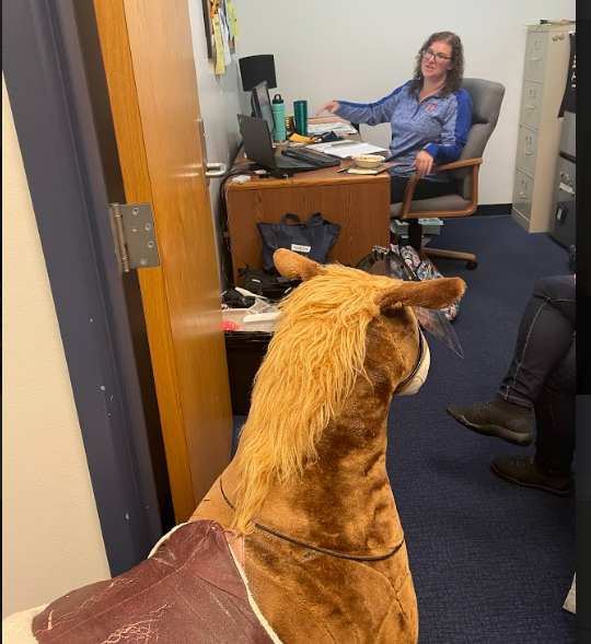 CONTESTANT #3 - Mrs. Clinton
(in a surprise cameo!)