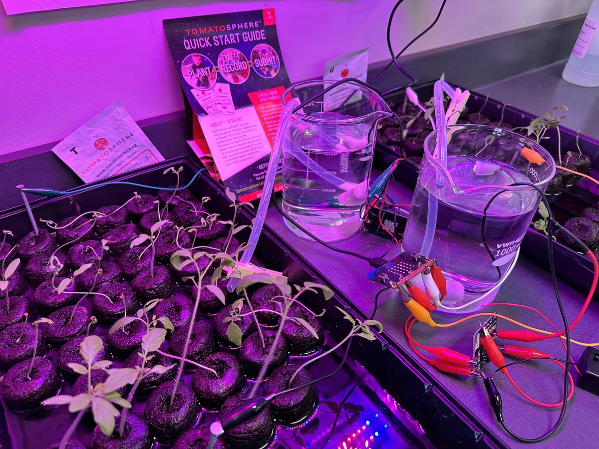 Amanda Green 🇨🇦 (@mmeamandagreen) on Twitter photo Making sure our <a href="/Tomatosphere/">Tomatosphere™</a> seedlings will survive the November break using <a href="/microbit_edu/">Micro:bit Educational Foundation</a> automated watering systems funded by <a href="/insideeducation/">Inside Education</a> and <a href="/APEGA_AB/">APEGA</a>! <a href="/ltsmcmaster/">LetsTalkScience Mac</a> <a href="/BlackGldSchools/">Black Gold School Division 🇨🇦</a> <a href="/MrMaltais/">Darren Maltais</a> <a href="/SciGeekJulie/">Julie Arsenault</a> <a href="/FergeeksonGirl/">Jennifer Ferguson</a> <a href="/CDNSpacegal/">Maria Nickel (she/her/elle)</a> <a href="/RobertThirsk/">Robert Thirsk</a> <a href="/AstroDaveMD/">Dave Williams - AstroDaveMD</a> Making sure our <a href="/Tomatosphere/">Tomatosphere™</a> seedlings will survive the November break using <a href="/microbit_edu/">Micro:bit Educational Foundation</a> automated watering systems funded by <a href="/insideeducation/">Inside Education</a> and <a href="/APEGA_AB/">APEGA</a>! <a href="/ltsmcmaster/">LetsTalkScience Mac</a> <a href="/BlackGldSchools/">Black Gold School Division 🇨🇦</a> <a href="/MrMaltais/">Darren Maltais</a> <a href="/SciGeekJulie/">Julie Arsenault</a> <a href="/FergeeksonGirl/">Jennifer Ferguson</a> <a href="/CDNSpacegal/">Maria Nickel (she/her/elle)</a> <a href="/RobertThirsk/">Robert Thirsk</a> <a href="/AstroDaveMD/">Dave Williams - AstroDaveMD</a>