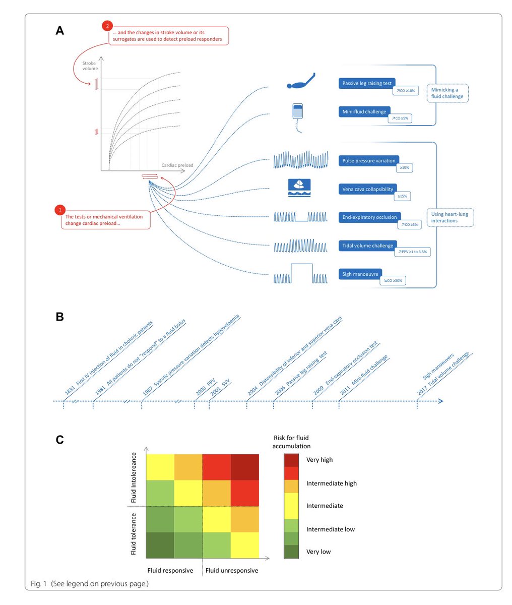 paomorejon's tweet image. 📌La predicción de respuesta a líquidos

👏🏻Los líquidos son dañinos e inconstantemente efectivos

bit.ly/3DxlNb3