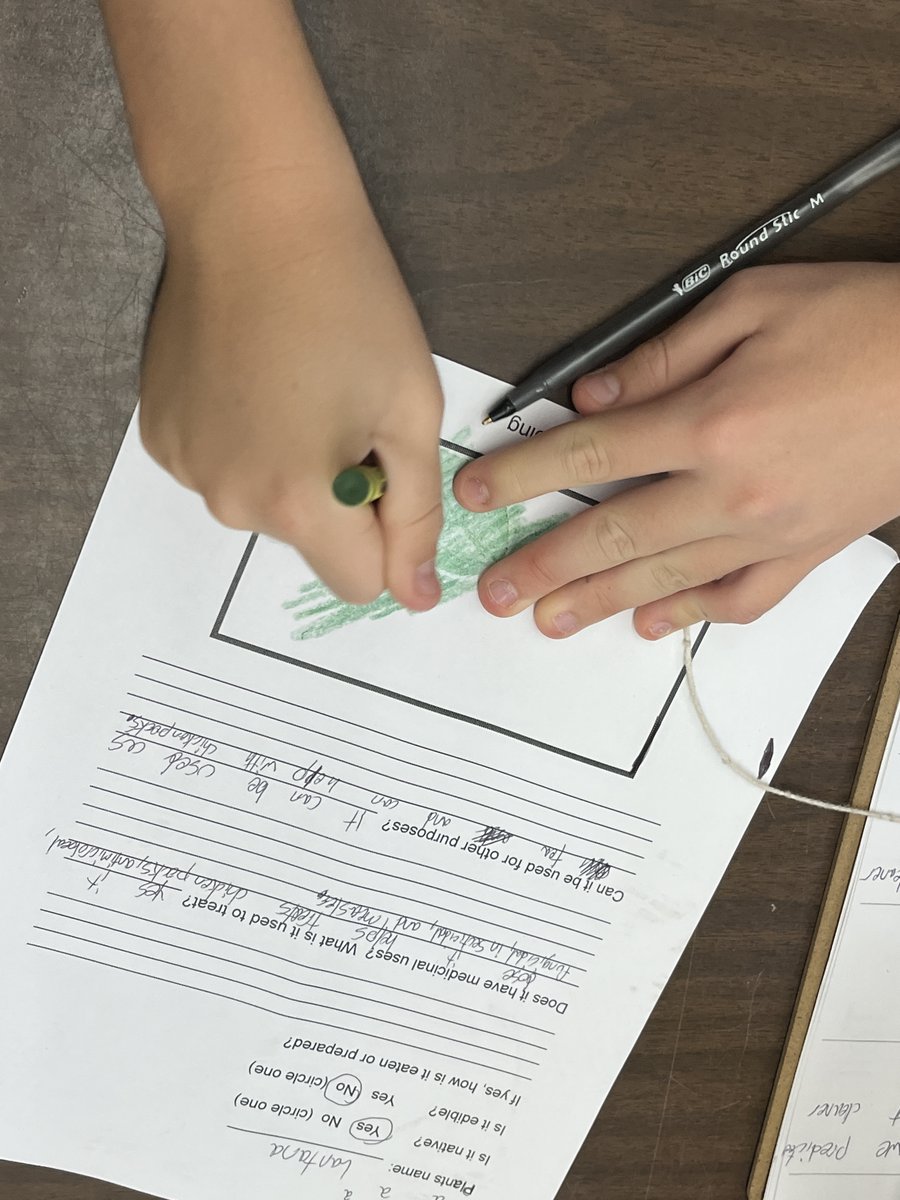 Native? Edible? Medicinal? 6th grade students at the De Luz Ecology Center used the Seek app to answer these questions about plants at the center. #TeamFUESD