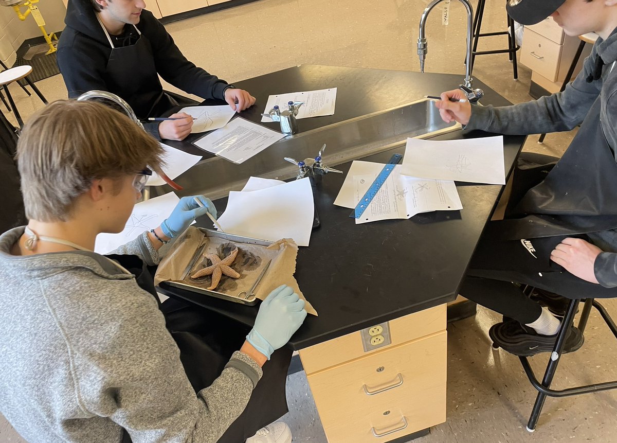 HennesseyMrs's tweet photo. We had a busy day today! Sea star dissection with Oceans 11 and a trip to the chemistry lab for a very cool demonstration from @Chiasson_M1 (the exploring gummy bear). @lockviewhigh @HRCE_NS #oceans11 #science9 https://t.co/5O7MhTNX9C