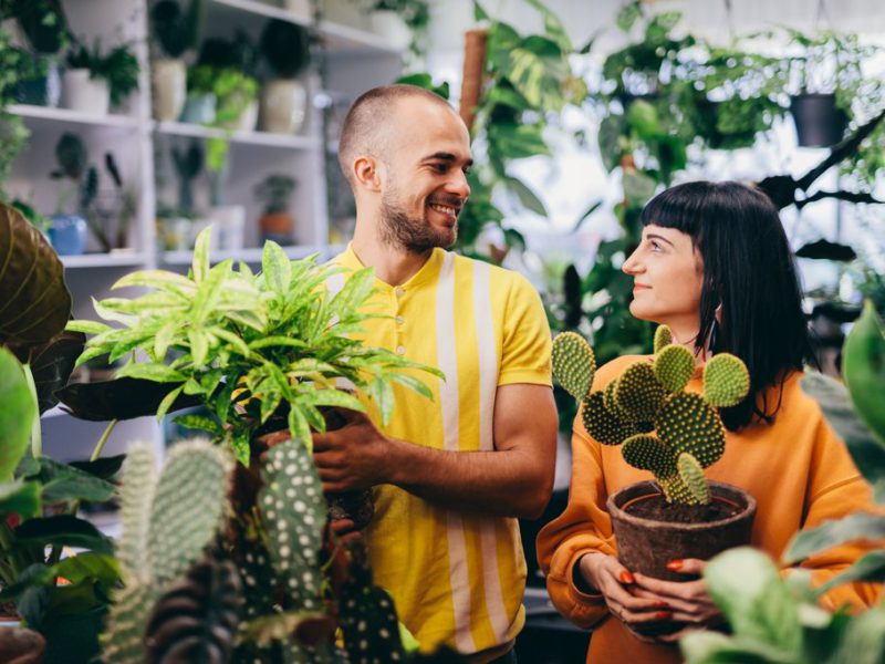 SuperStock tweet media