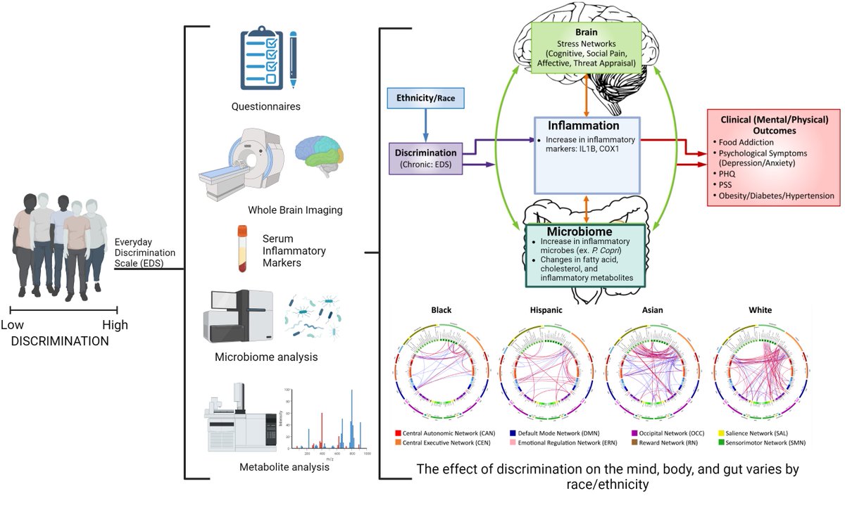how does discrimination effect our biology and make us sick 👉doi.org/10.1016/j.biop…
<a href="/NIMHD/">Health Disparities</a> <a href="/NIMHDirector/">Director, National Institute of Mental Health</a> <a href="/TienDongMD/">Tien Dong MD, PhD</a> <a href="/GilbertGee6/">Gilbert Gee</a> <a href="/UCLAGIHep/">UCLA Gastroenterology and Hepatology</a> <a href="/ucladomedi/">UCLA DOM EDI</a> <a href="/UCLAHealthNews/">UCLA Health News</a> <a href="/ucladgsomdigest/">DGSoM Weekly Digest</a>