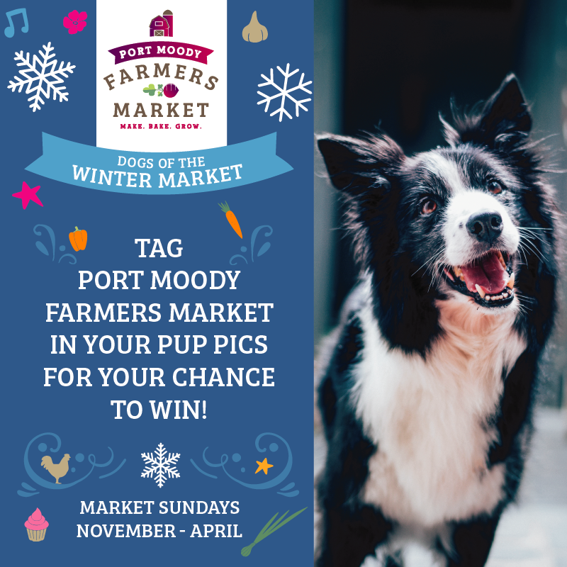Post and win! Post a pic of your pup for our ‘Dogs of the Winter Market Contest’. Tag @portmoodymarket and we’ll repost. The top three pictures with the most likes and retweets will win a PoMo Farmers Market prize!