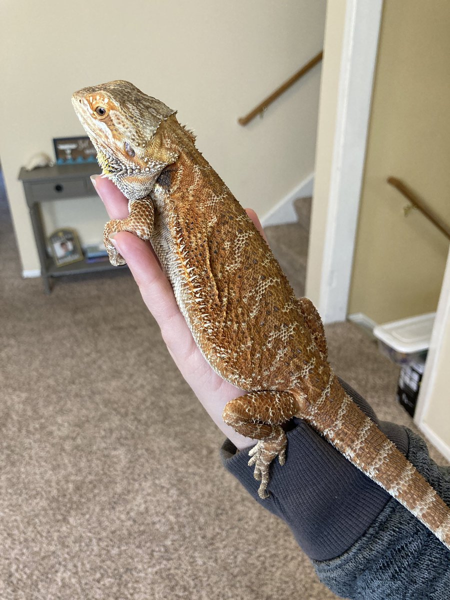 EricaBee 🐝 tweet media