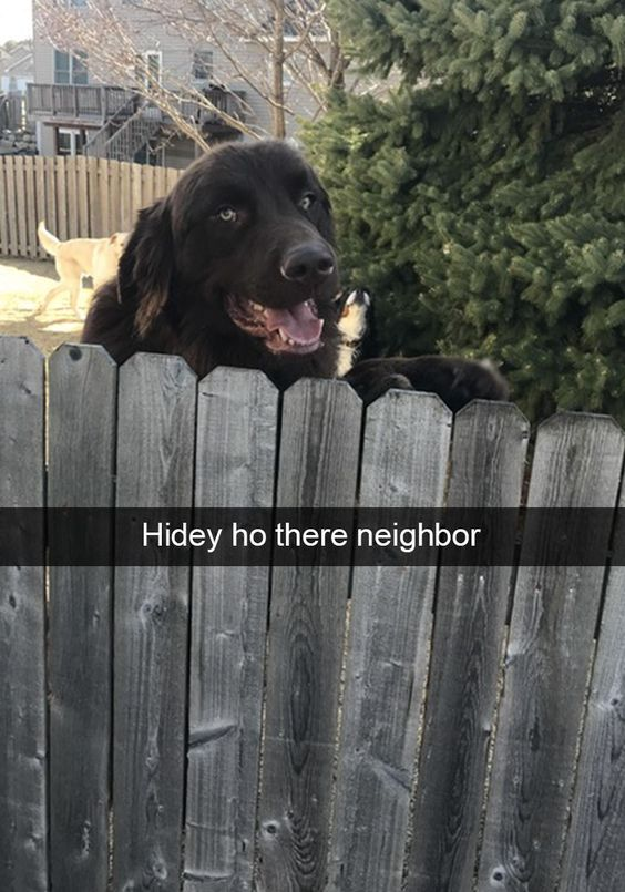 WholesomeMeme's tweet photo. https://t.co/1rXWZQObHK