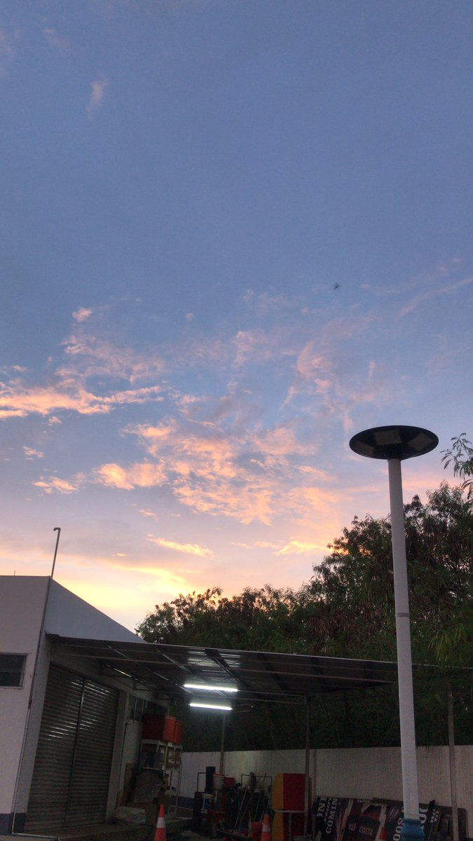 0yaaaa's tweet image. 