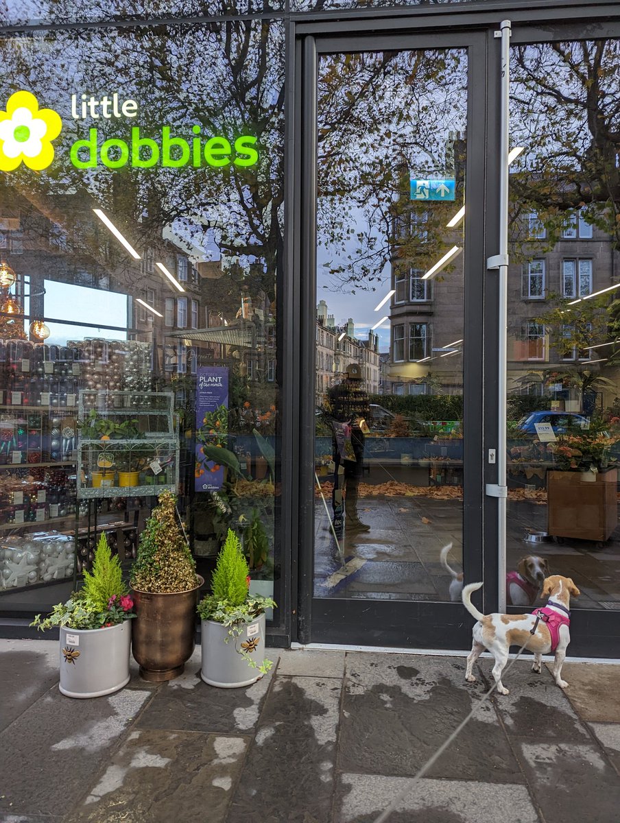The sadness of my dog Luna when she finds her favourite treat giver shop closed <a href="/dobbies/">Dobbies</a> 
#cockerjack #dobbies