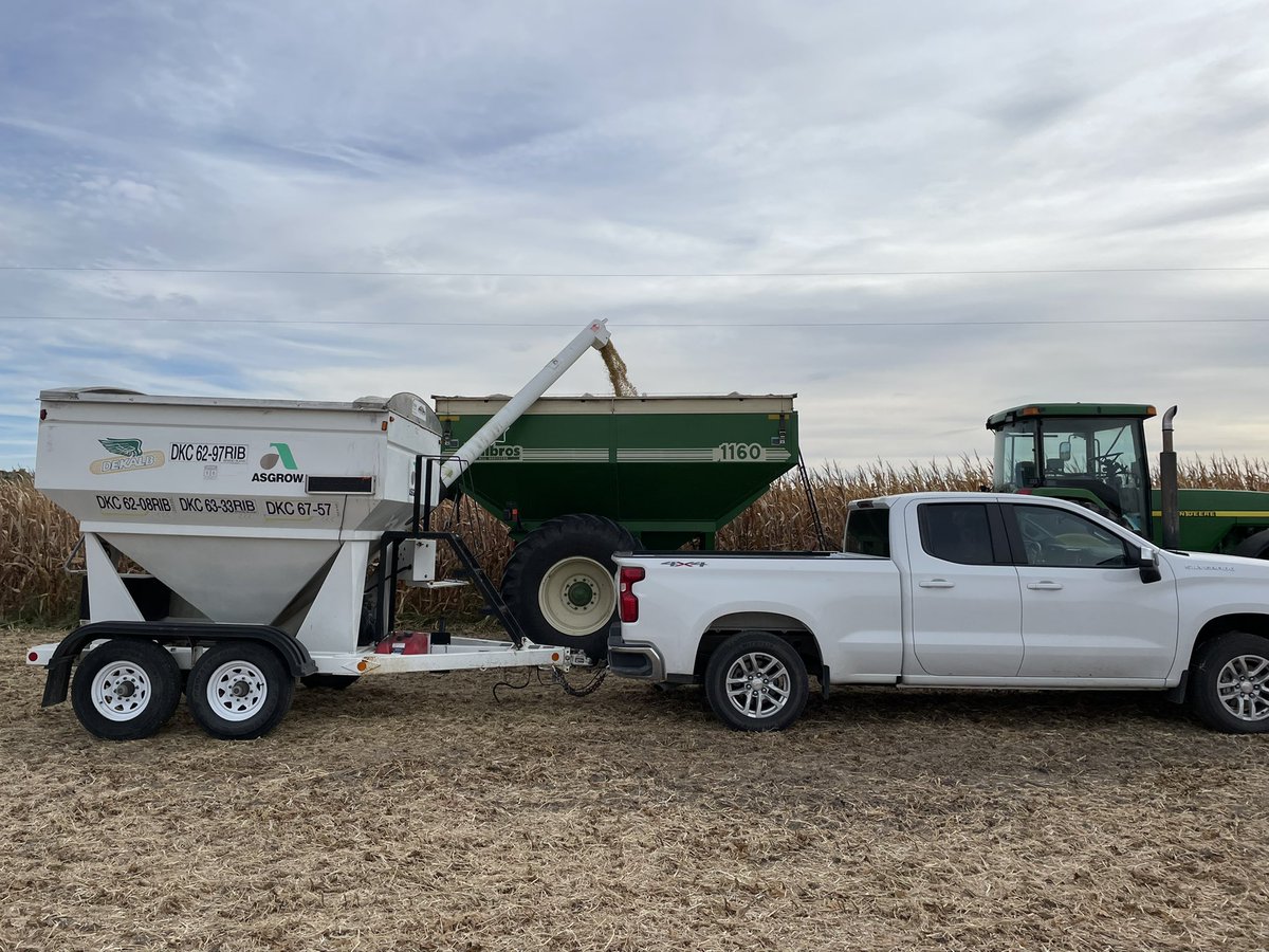 d_smith_1995's tweet photo. As harvest wraps up and you begin planning for next year don’t over look 👀 the NEW AG39XF3! It’s Looking like it could be the next #yieldchasers soybean!! @DKAS_SIL #Bayer4IL https://t.co/7Cd42L024R