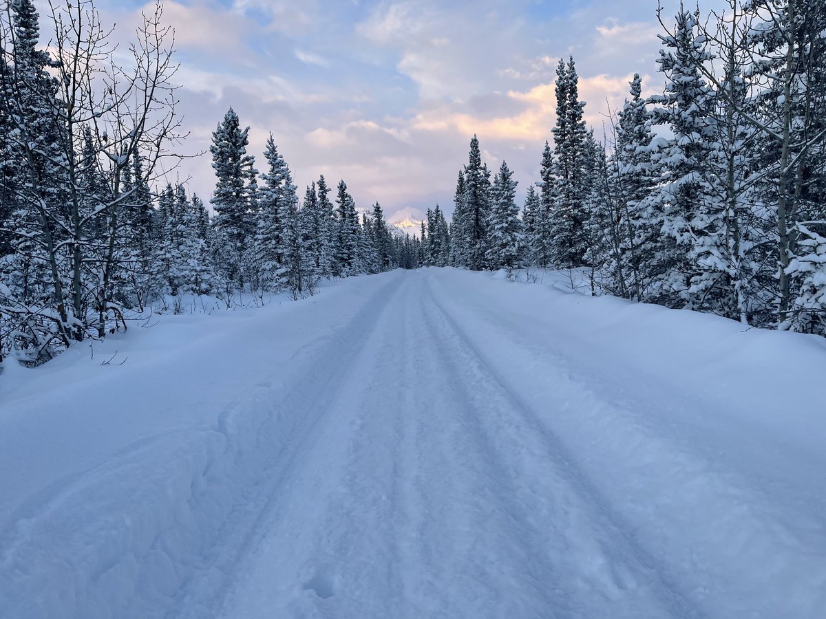 The colors, the cold, the quiet make for dreamy winter days. After the buzzing summer energy, the reprieve is a welcome shift. Bears may be onto something with this hibernation thing. 
#wintervibes #hibernationmode #mccarthyalaska #wrangellsteliasnationalpark