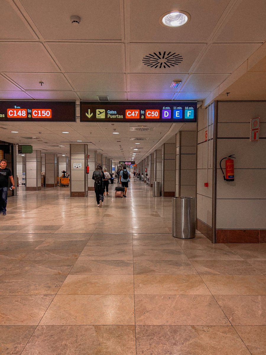 Rumbo a Roma después de una semana de recuperación: a iniciar la preparación de la Copa del Mundo de Belgrado ⚔️💫

#becaspodium