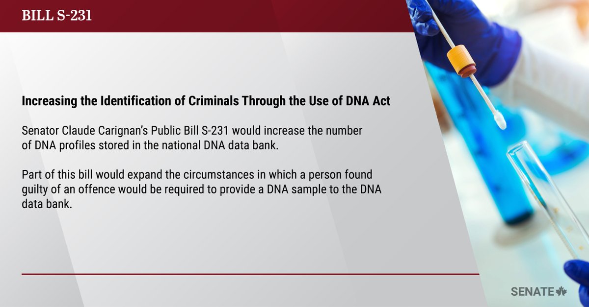 SenateCA's tweet photo. .@senatcarignan's Bill #S231 has been adopted at second reading in the Senate and referred to the Senate Committee on Legal and Constitutional Affairs: https://t.co/0C6Nc2MPPb

#SenCA #cdnpoli #LCJC https://t.co/ElzdHi5eYZ