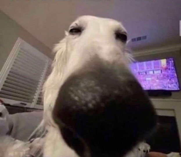 <a href="/sanbenito/">Benito Antonio</a> Ok la pregunta es si TU sales allí está noche