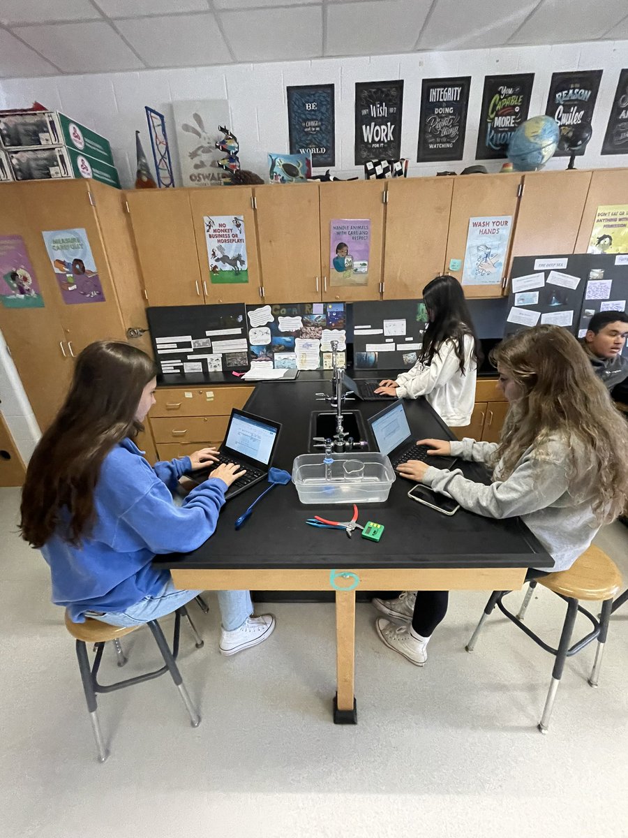 DisneySciNerd's tweet photo. Honors Bio students demonstrating that bird beak structure affects success on various “islands”   #barnegathighschool #bhsscience #darwinsfinches https://t.co/2R8ko6Xp9h