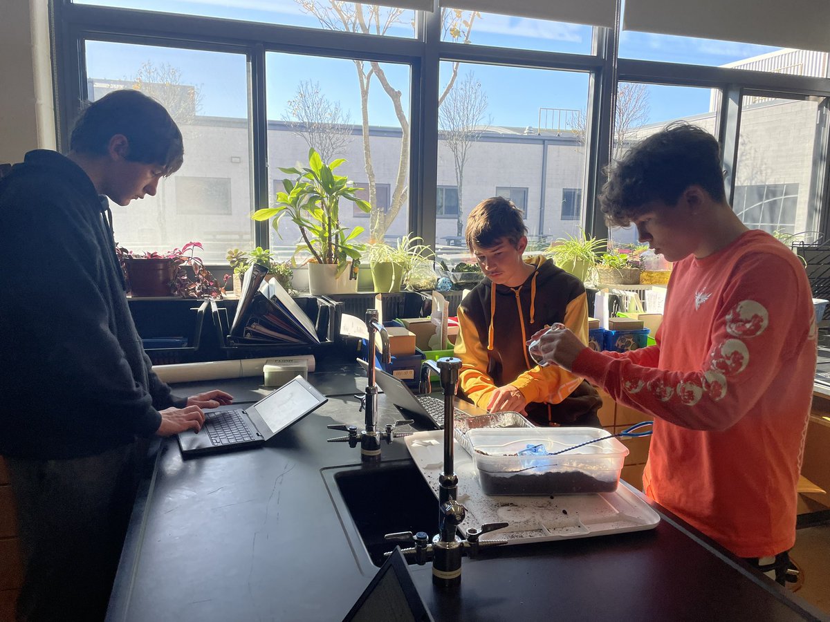 DisneySciNerd's tweet photo. Honors Bio students demonstrating that bird beak structure affects success on various “islands”   #barnegathighschool #bhsscience #darwinsfinches https://t.co/2R8ko6Xp9h