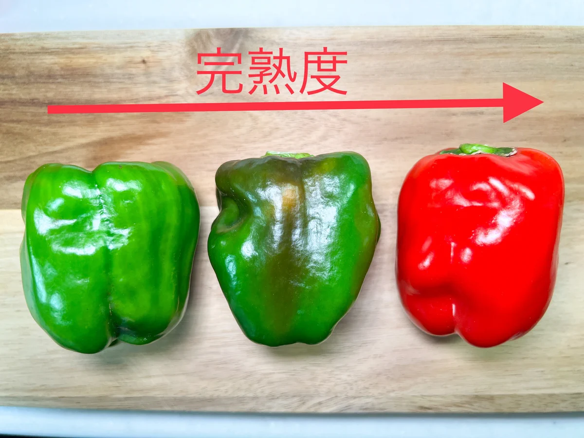 熟している途中！？黒くなったピーマンは捨てないで。