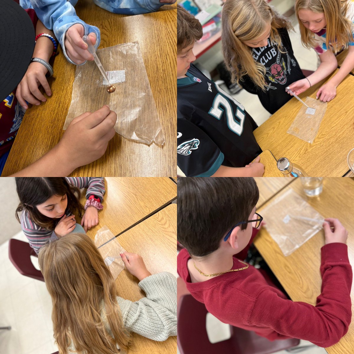 Experimenting to figure out the properties of magnifiers 🔬 #jaguarmax #gvfeeling