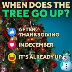 Now that Halloween is over, it's officially the Holiday Season.
So fess up. When does your tree go up?
By the way, it would look great in your new home. Just saying.
buff.ly/3LtyplA

#GoWithRaymond #TheRaymondTeam #SandalsRealtyGroup #november #holidayseason #homesforsale