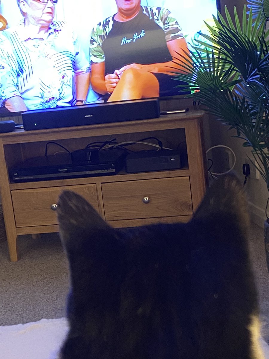 maureen baker tweet media