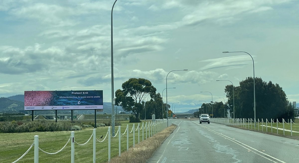 AntarcticaSouth's tweet photo. #CCAMLR41 is underway but for everyone arriving through the Hobart airport (including @CCAMLR1, officials), you won't miss our call to action to protect #krill and #Antarctica.

Now it's the time to act and #ProtectAntarctica 👉 https://t.co/hDYg2FDDS9 https://t.co/fTqXZRmKyZ