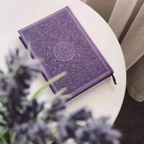 LOVEQatar1985's tweet photo. يارب نعيش هالشعور :
- يا ملائكتي إعطوا لعبدي ما سأل 🙏 https://t.co/dgnN9qIZ9v