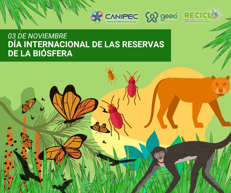 canipecmx's tweet photo. Desde #CANIPEC, impulsamos la preservación de espacios naturales, la conservación de ecosistemas y la biodiversidad; promovemos el #desarrollosostenible y el cuidado del medio ambiente a través de programas de #rs como #Reciclo de @geeci_mx https://t.co/1axVz4dBEI