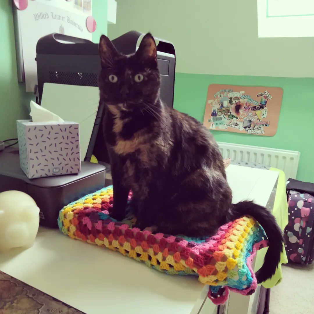 Business Buds Belfast tweet media