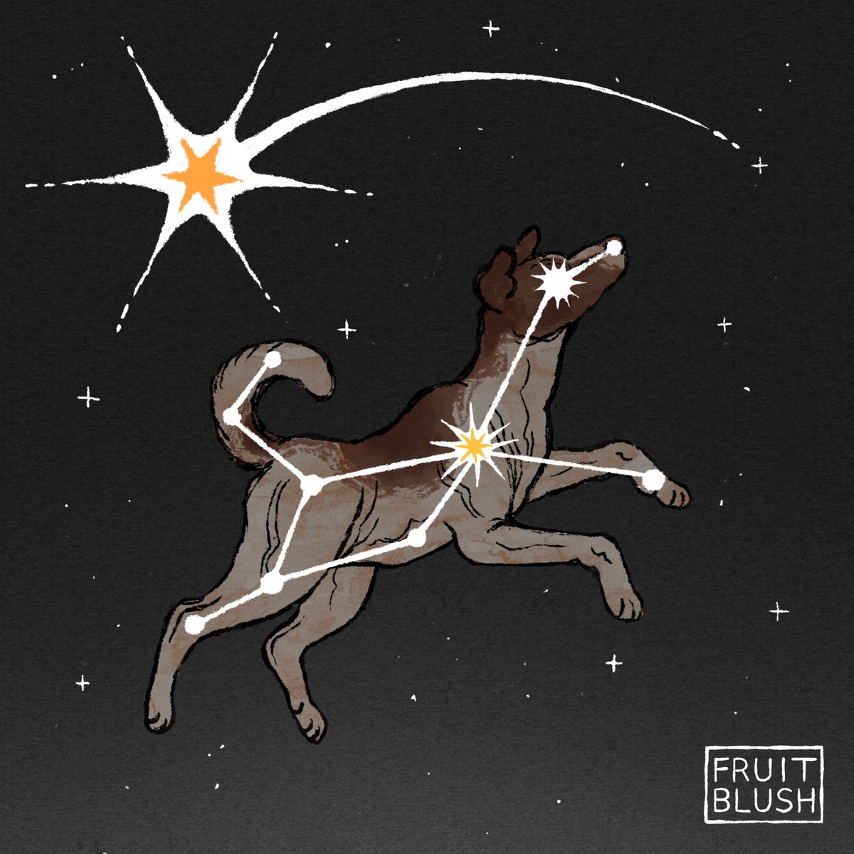 no humans animal focus star (sky) dog full body animal solo  illustration images