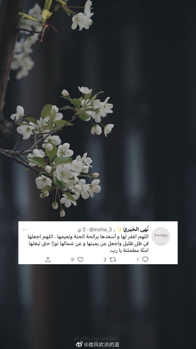 arub_8811's tweet photo. #يوم_الجمعة اللهُم لكل دعواتنا آمين. https://t.co/ZwW1P5OkDL