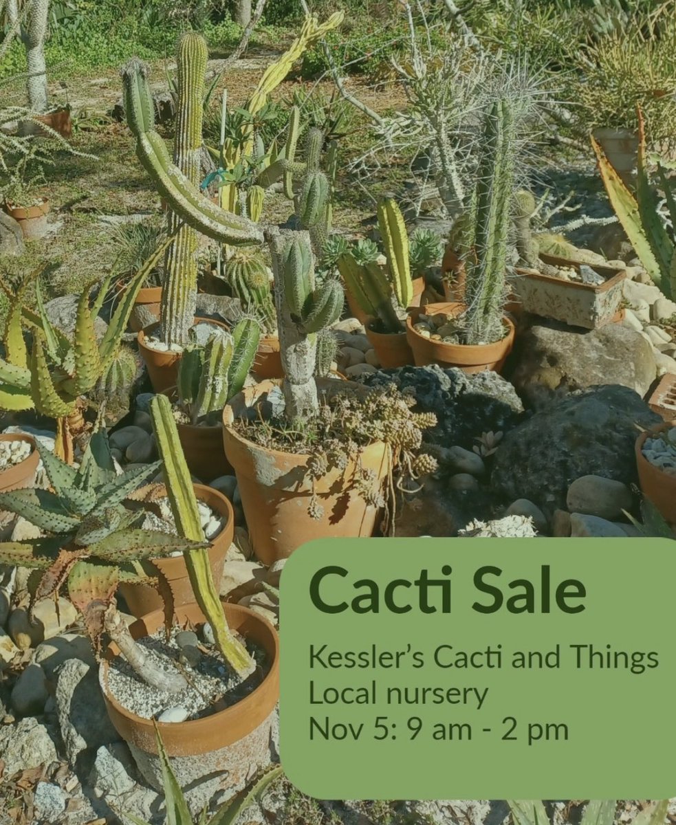 meghankeat's tweet photo. If you’re free on Saturday, check out @GardensUsf for a cacti sale from 9-2 🌵 #USF #eme4390S22 https://t.co/dQ9ShWpTok