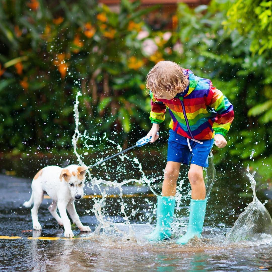 BeaconHealthSys's tweet photo. “Don’t go outside with wet hair. You’ll catch cold.” Maybe you’ve said this to your kids or grandkids. Let’s puts this commonly held belief to rest once and for all and learn ways to avoid catching the common cold.
https://t.co/HLBLcb5NKv https://t.co/Y4OwyfF6PG